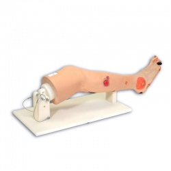 Erler-Zimmer ''Annie'' Arterial Insufficiency Leg Model